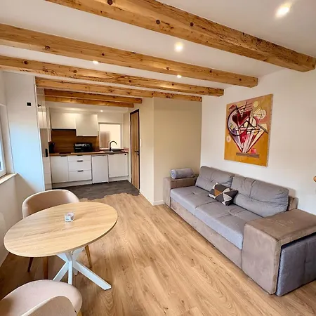 Duplex Cozy Coeur Alsace Apartment Gresswiller
